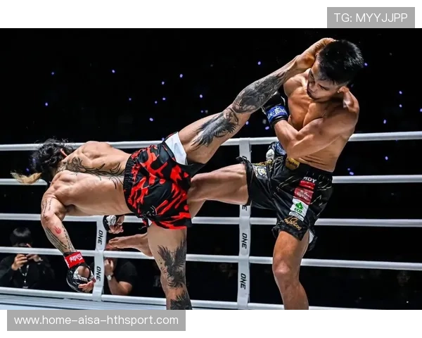 拳击赛官方视频回放显示经典瞬间